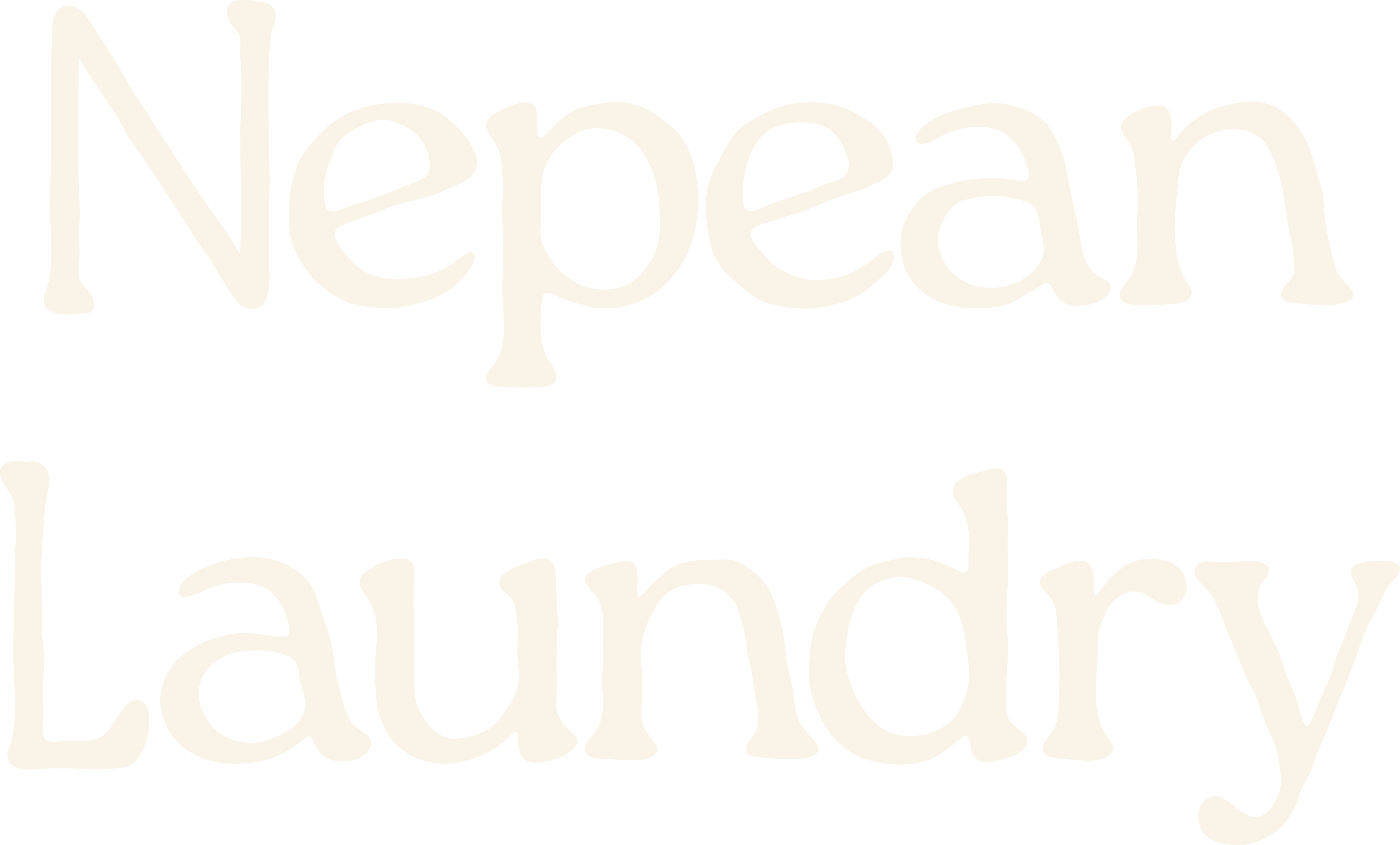 Nepean Laundry